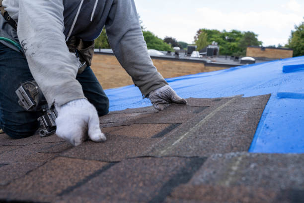 Best Shingle Roofing Installation  in Cayuga, IN